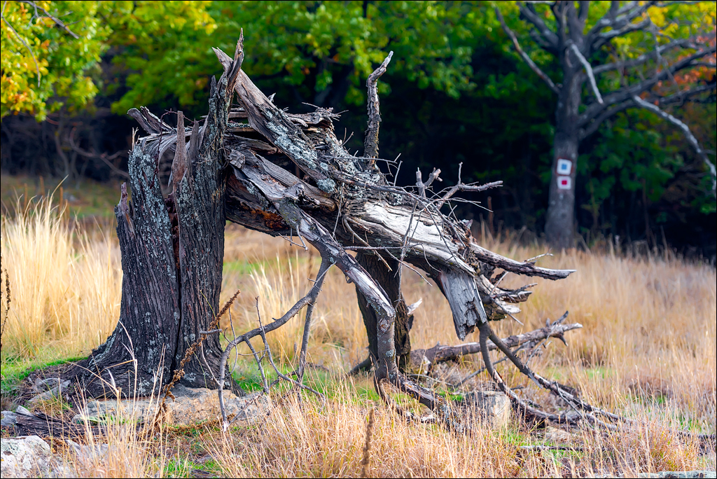 Munti Macin 121819 412