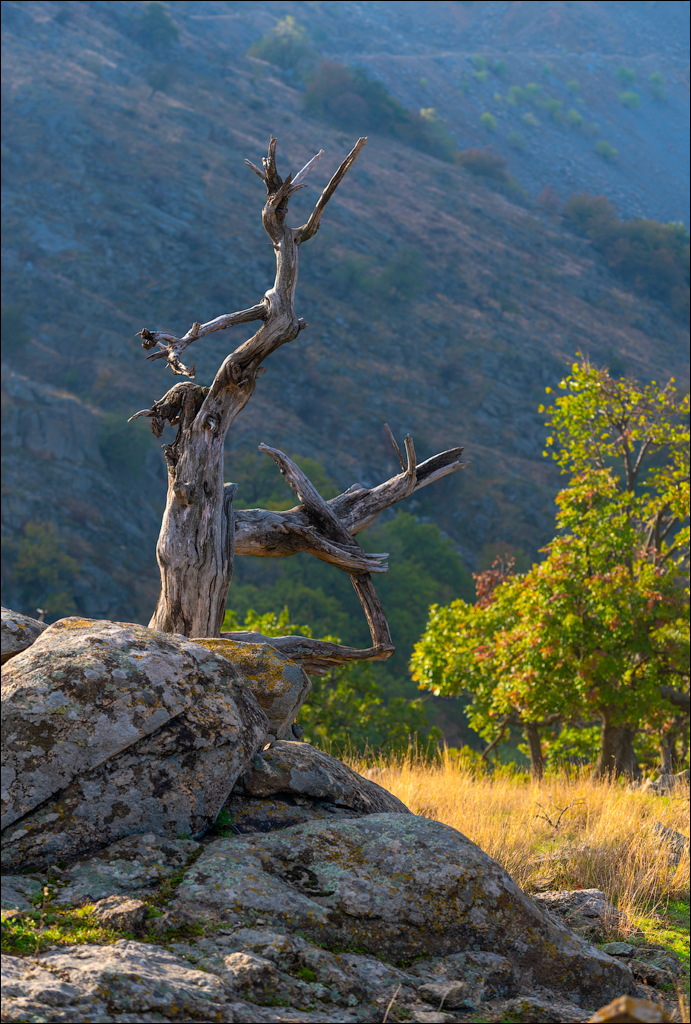 Munti Macin 121819 418