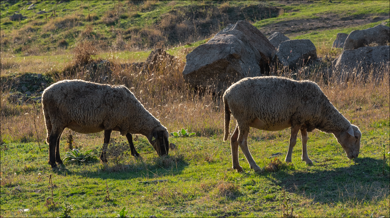 Munti Macin 122119 452