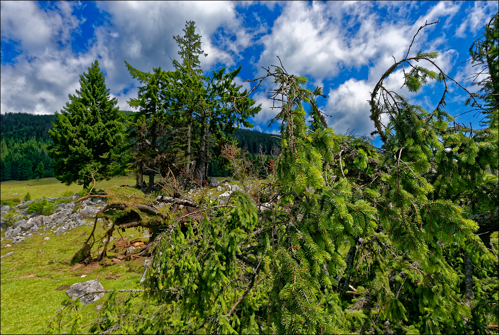 PiatraCraiului2016026