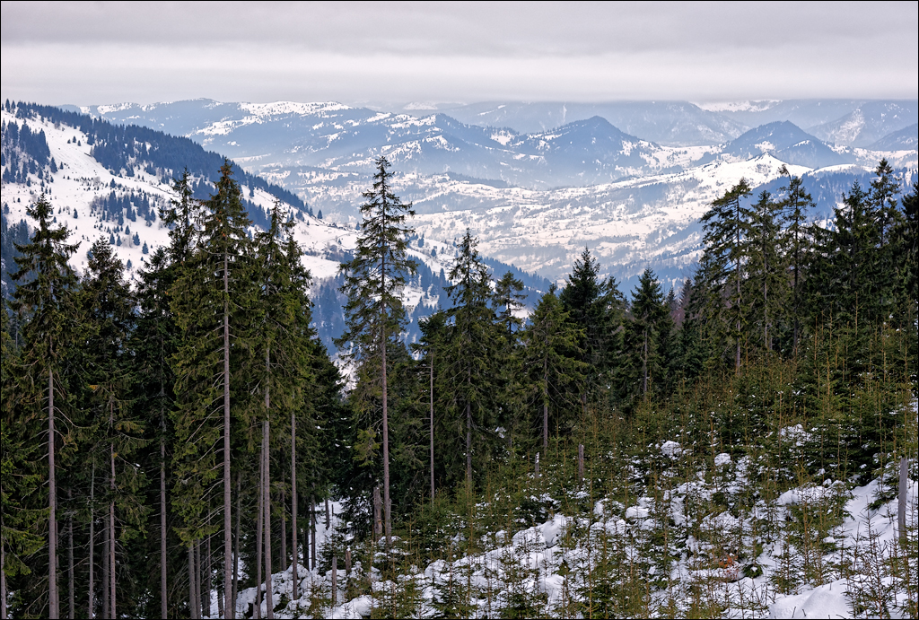 PetrosuMare 20172017020733