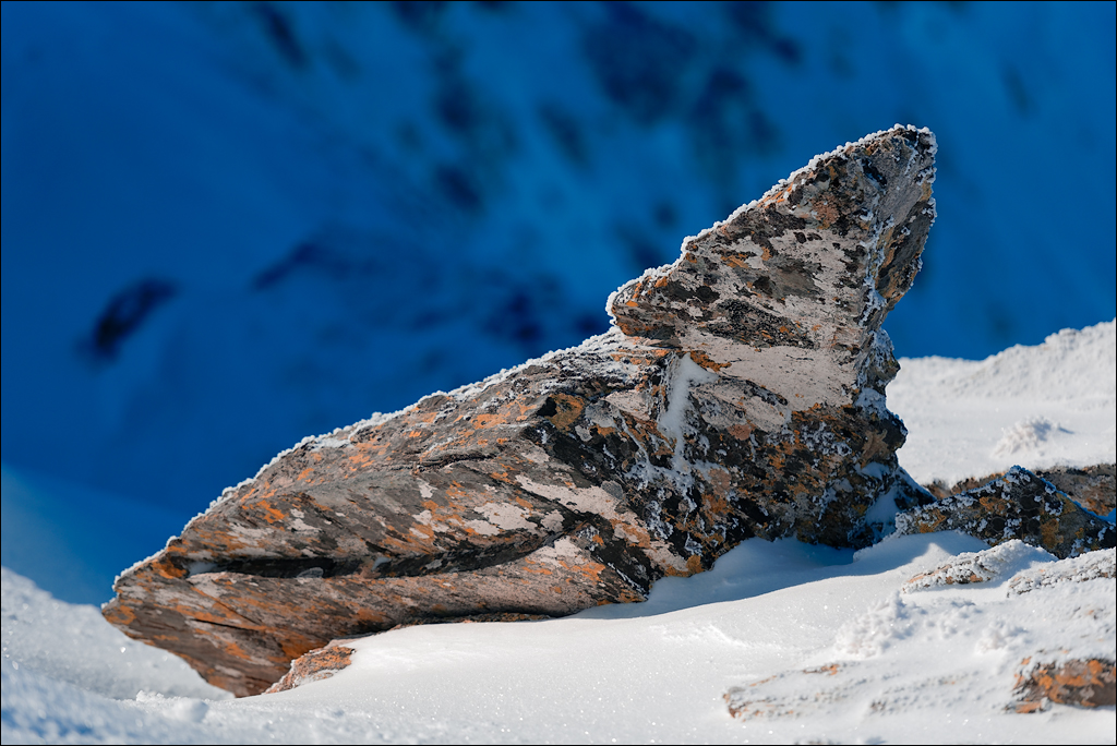 PetrosuMare 20172017020800