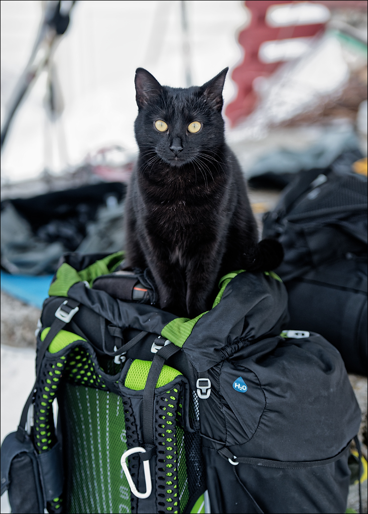 PetrosuMare 20172017021055