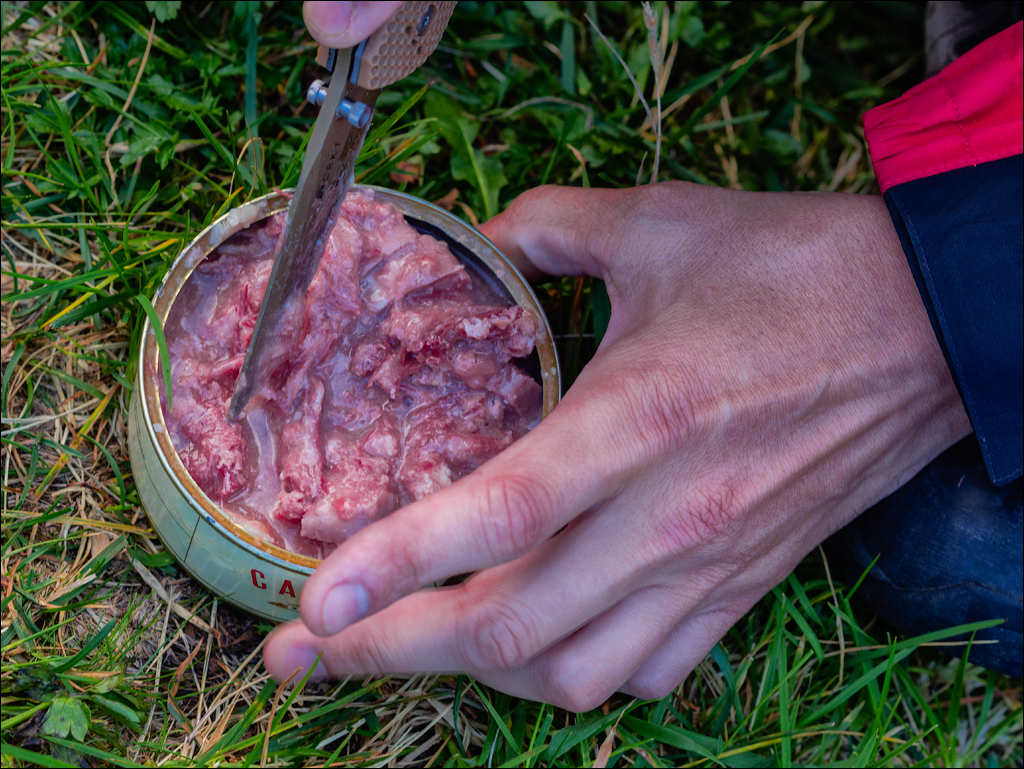 Rodnei Petrosu 20180805035