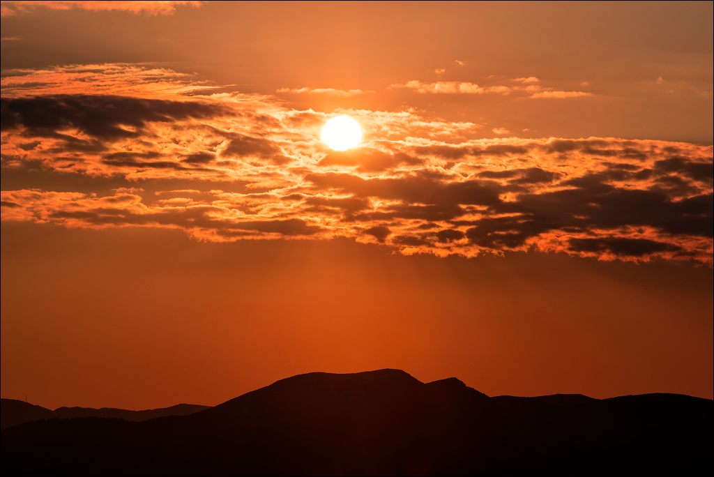 Rodnei Petrosu 20180805047