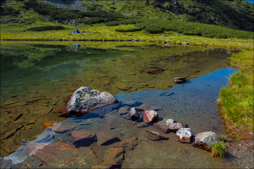 Rodnei Petrosu 20180805077