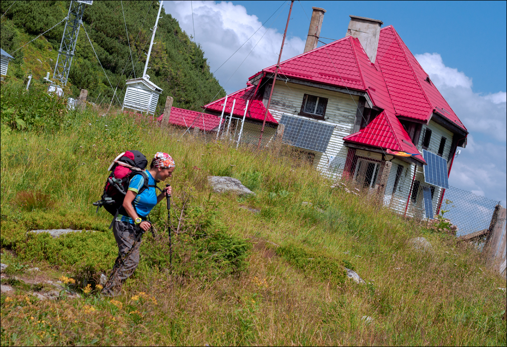 Rodnei Petrosu 20180805096