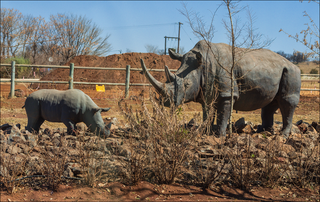 Pretoria 1 20150808026