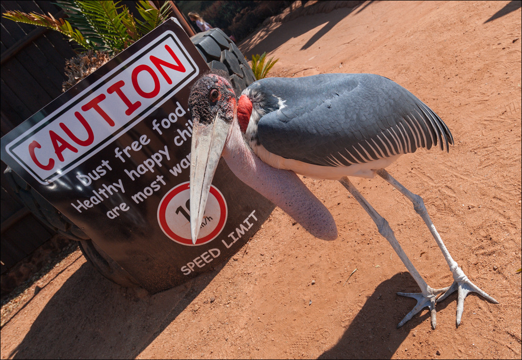 Pretoria 1 20150808028