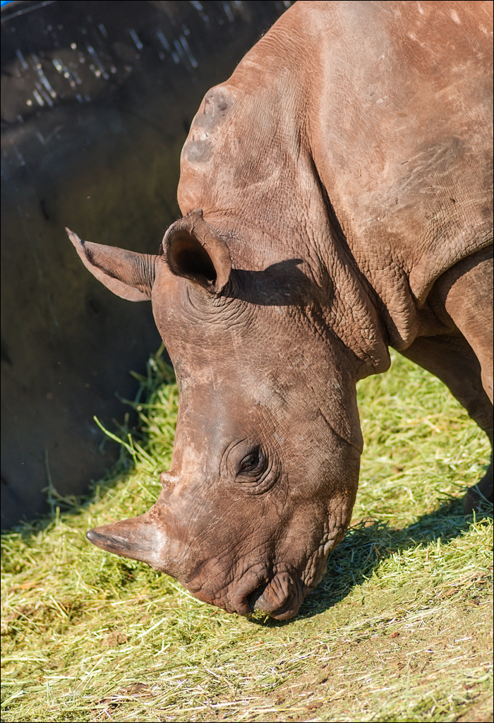 Pretoria 1 20150808045