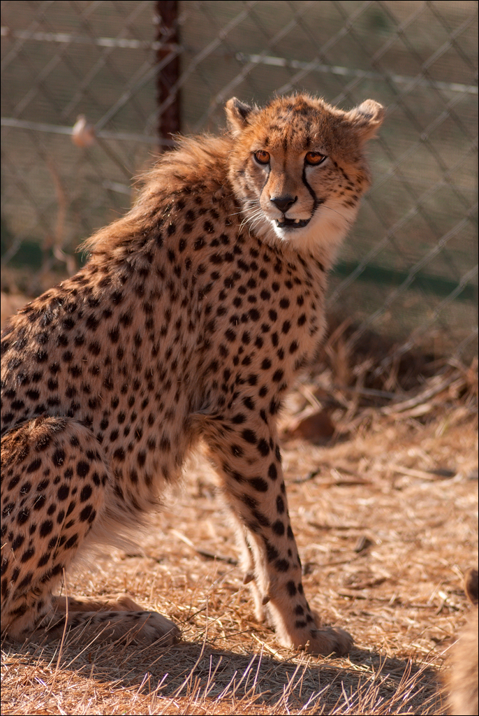 Pretoria 1 20150808052