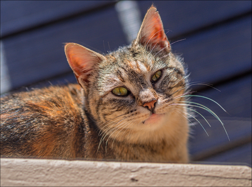 Pretoria 1 20150808128