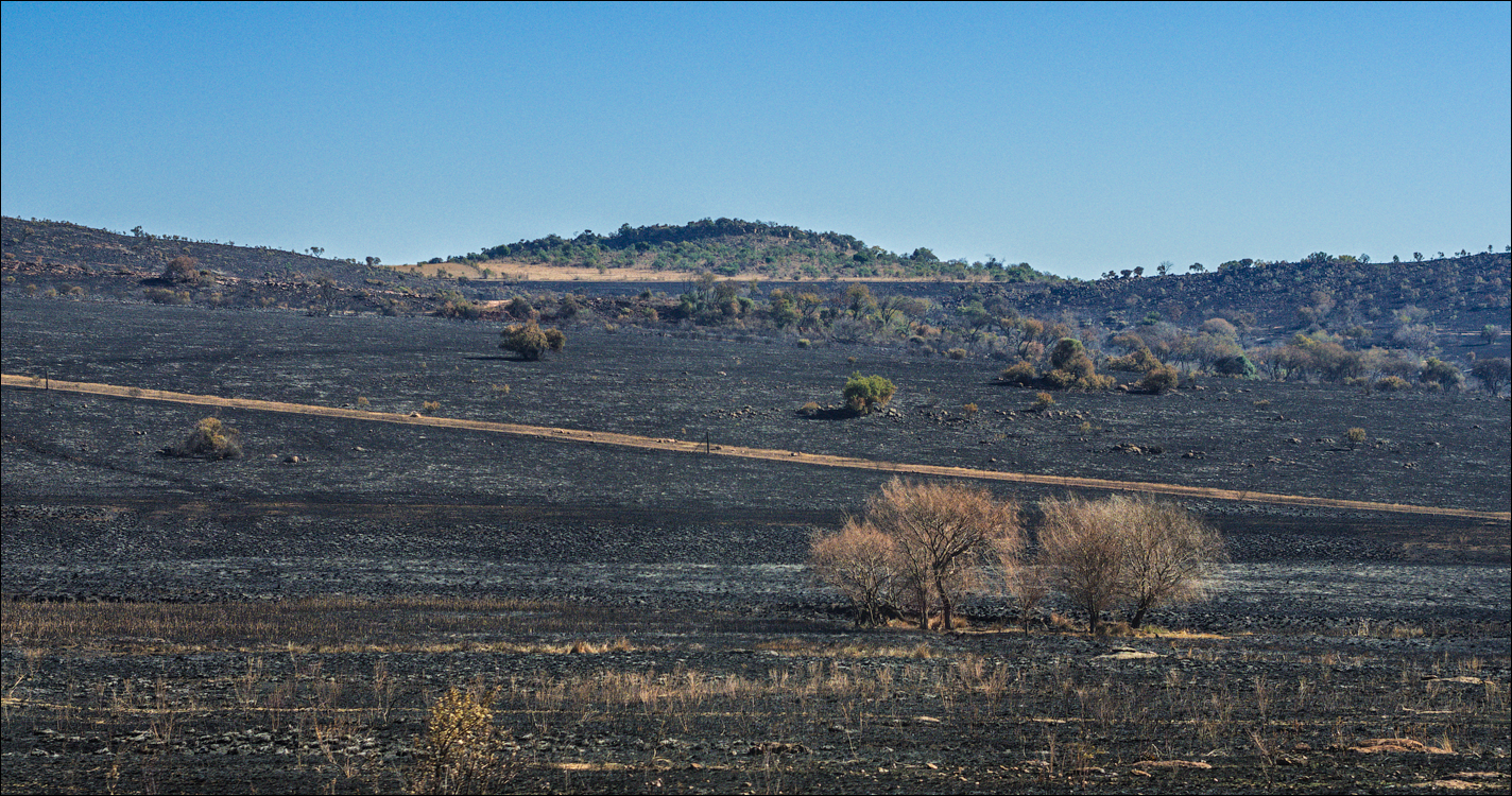 Pretoria 2 20150808004