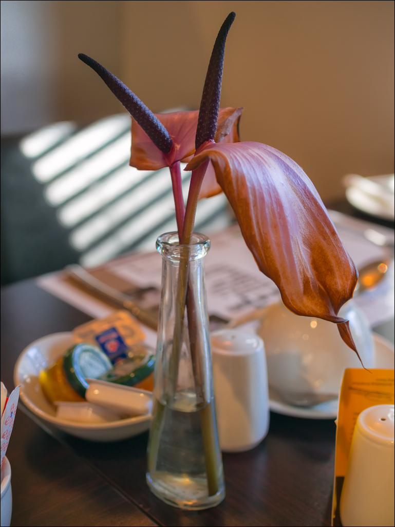 Pretoria 2 20150808120