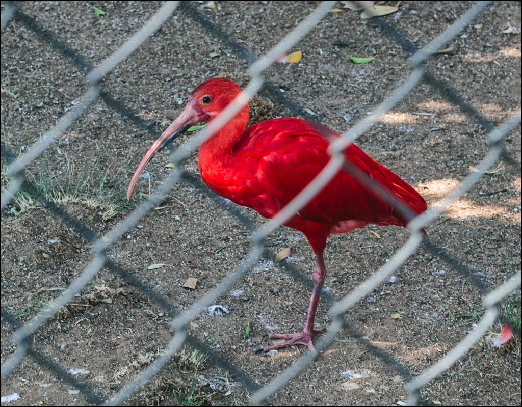 Pretoria 3 20150808041