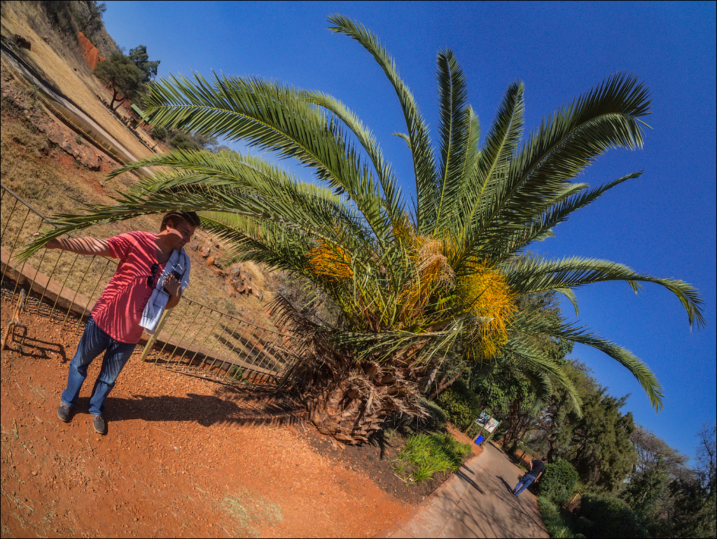 Pretoria 3 20150808049