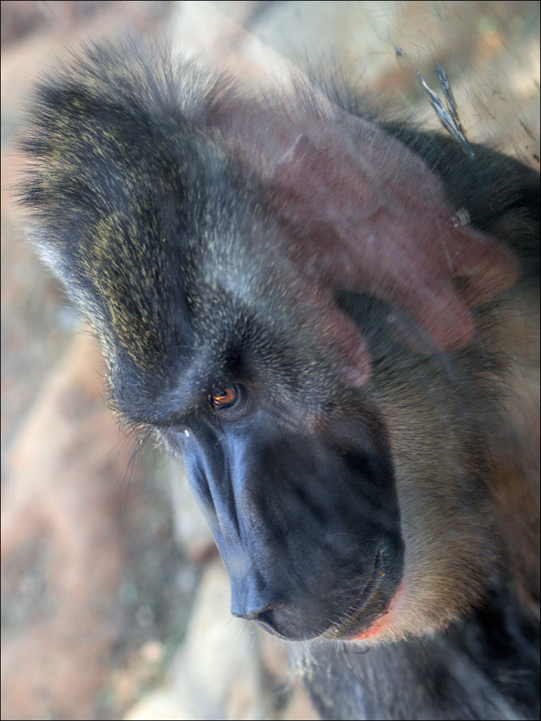 Pretoria 3 20150808052