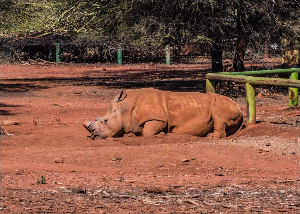 Pretoria 3 20150808071