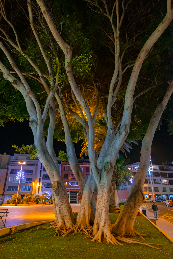 ElMedano 25dec2022 104