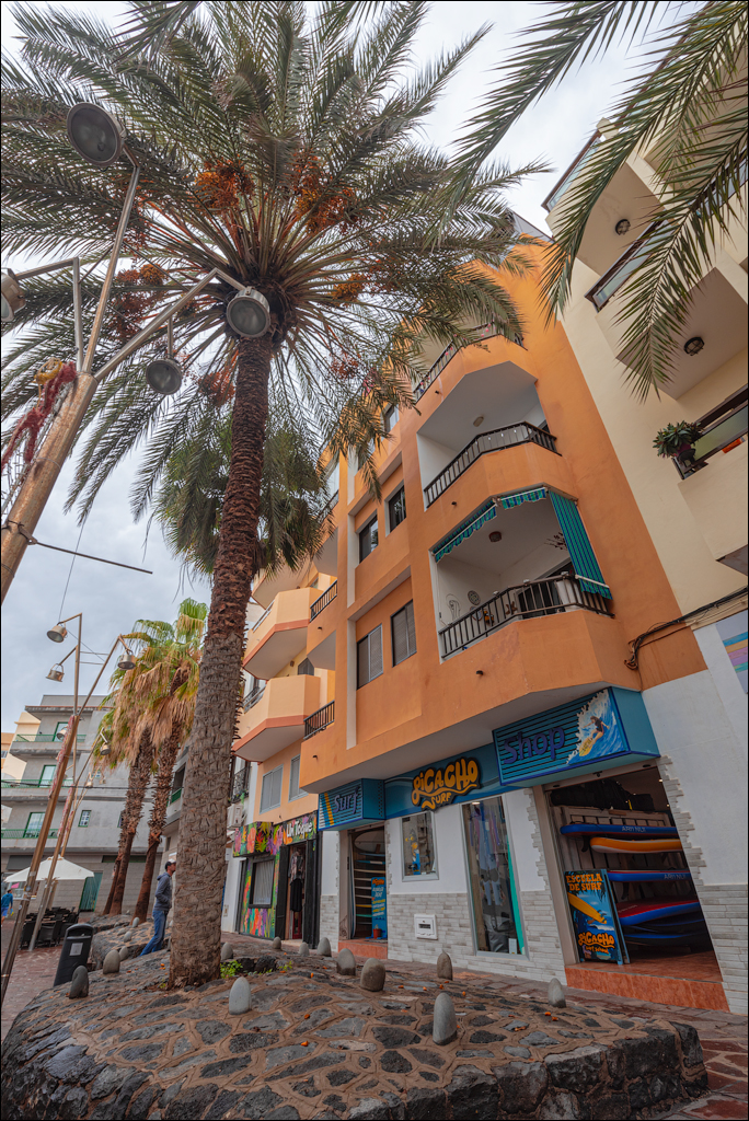 ElMedano 25dec2022 152