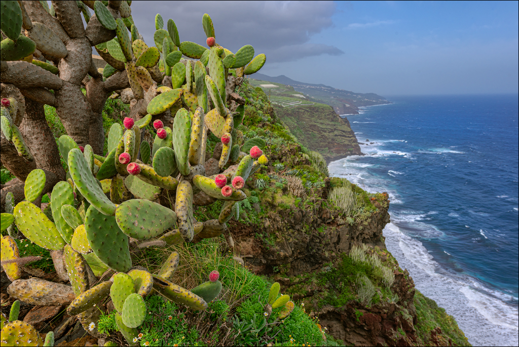 La Palma 27 28dec2022 141
