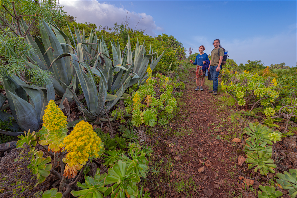 La Palma 27 28dec2022 162