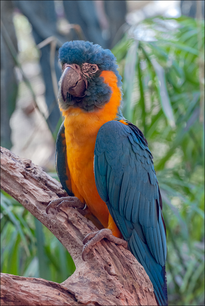 PuertoDeLaCruz 31dec 01jan2023178