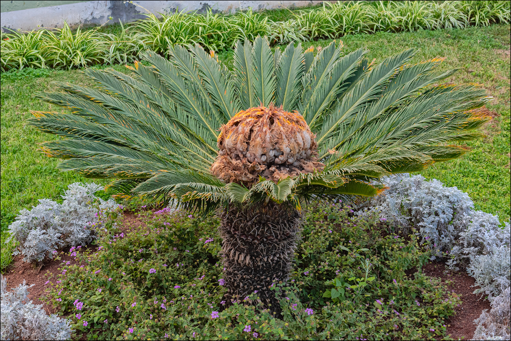 Saint Augustine 30dec2023 121