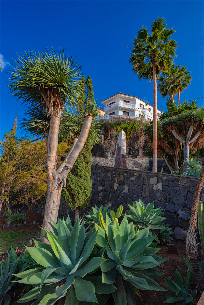 GarachicoLosVinos 31dec2023 137