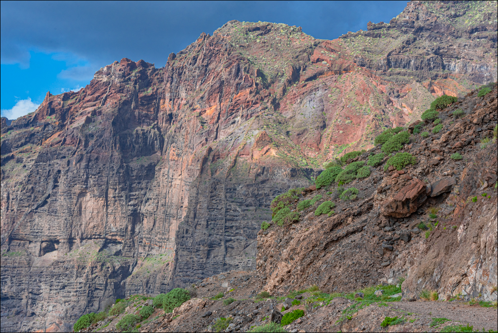 LosGigantes 03jan2023 110