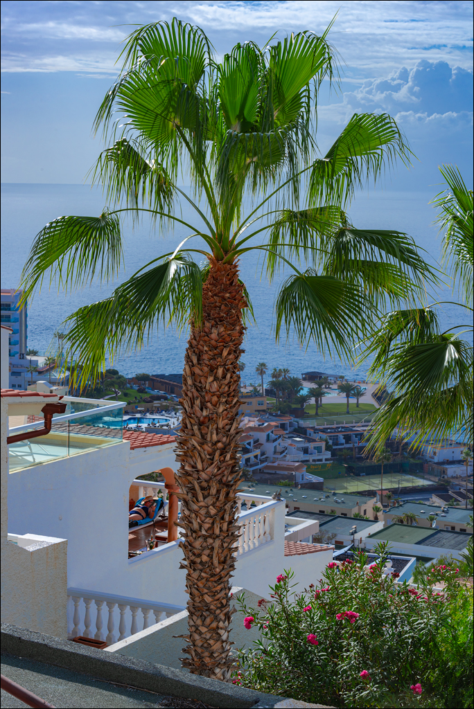 LosGigantes 03jan2023 114