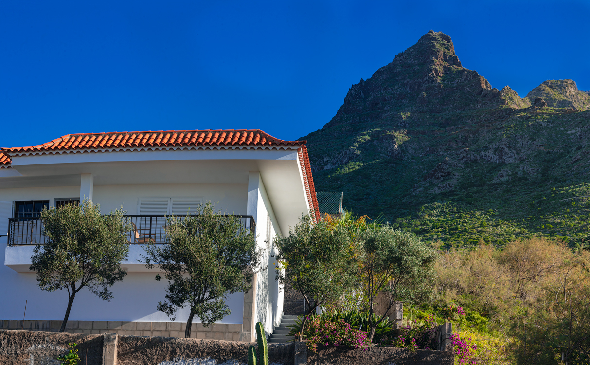 PuntaDelHidalgo 07jan2023 100