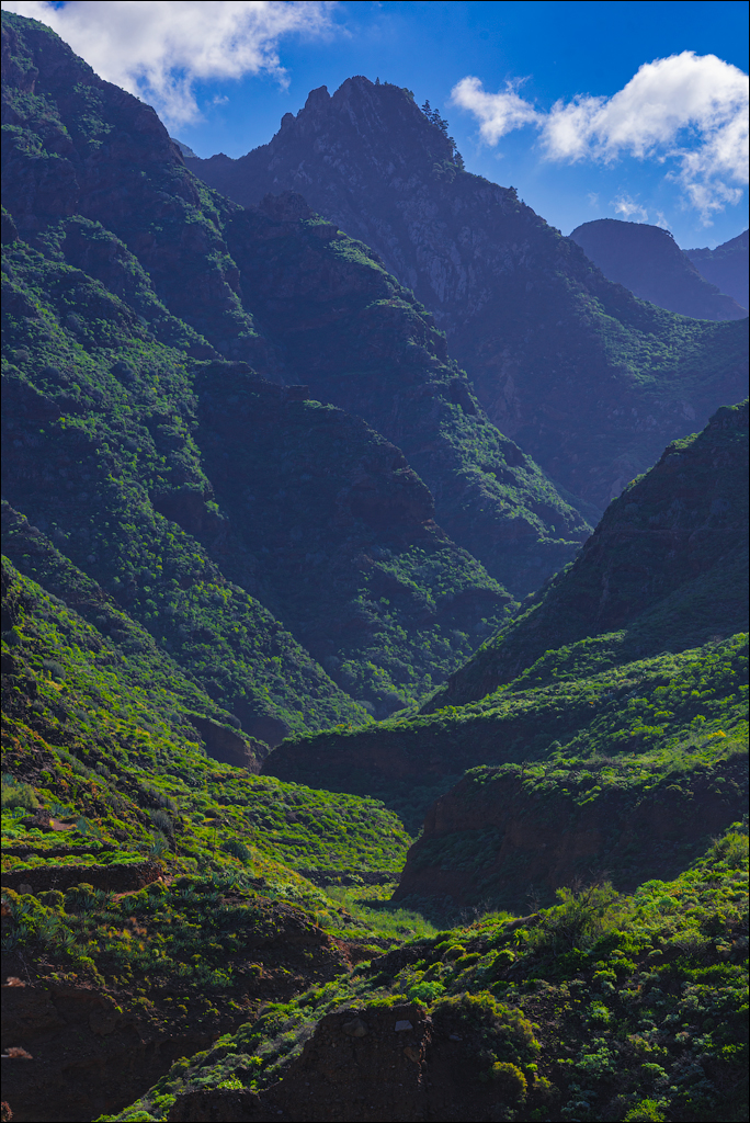 PuntaDelHidalgo 07jan2023 107