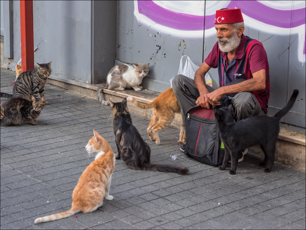 Istanbul 2015 20150815029