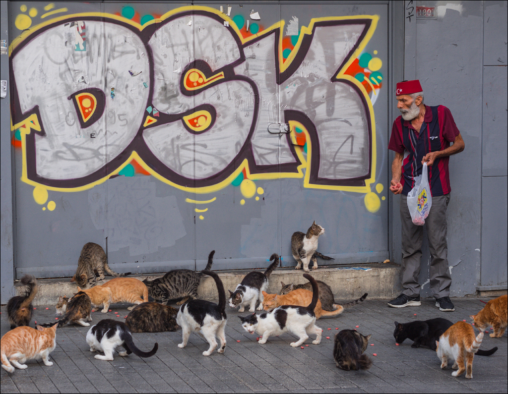 Istanbul 2015 20150815031