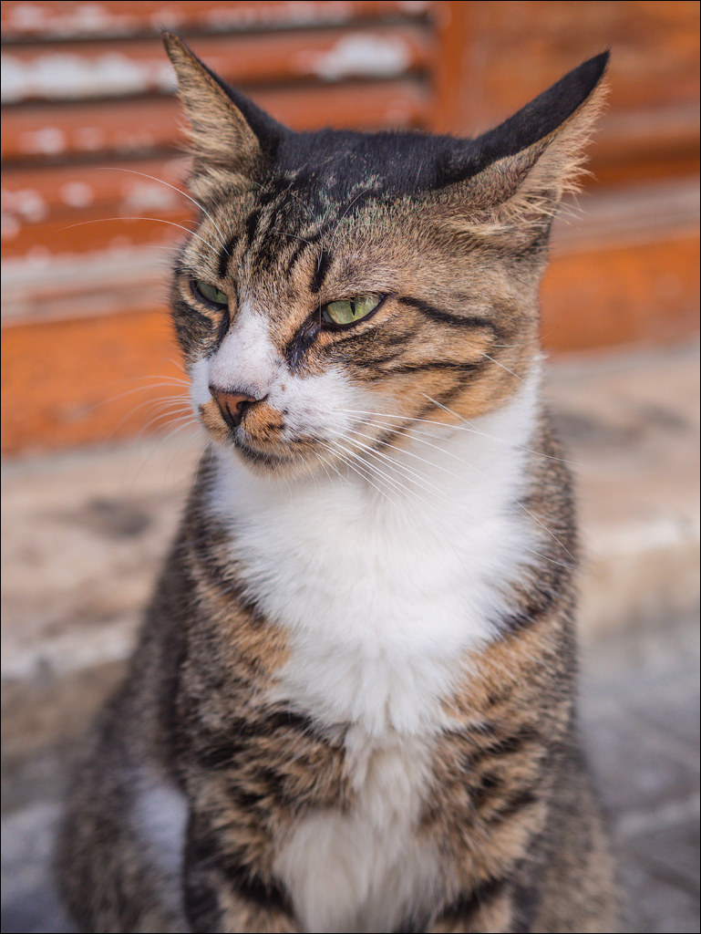 Istanbul 2015 20150815036