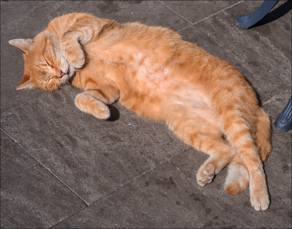 Istanbul 2015 20150815045