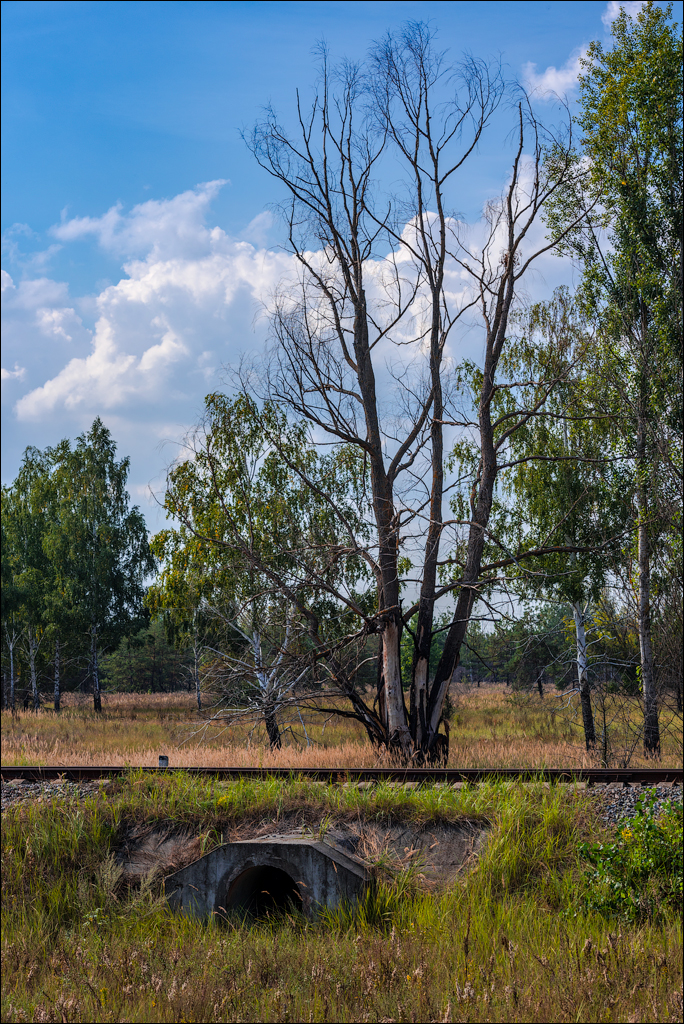 PripyatChernobyl Jun2018 067