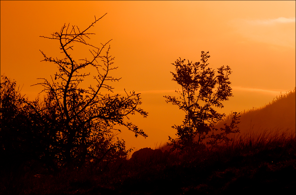 Crimea 201220170305374