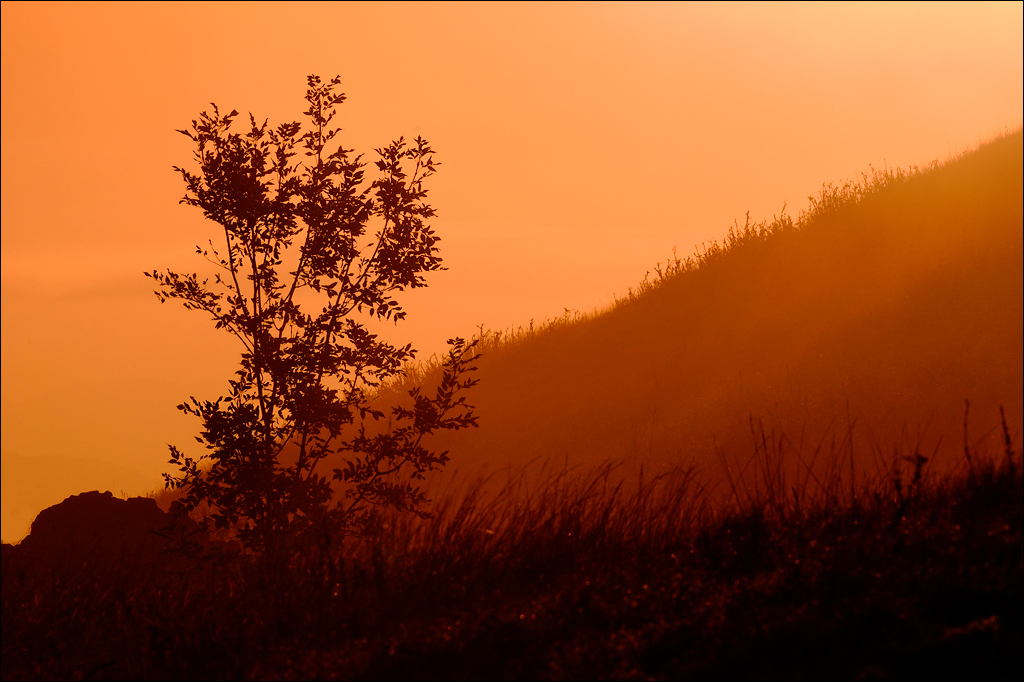 Crimea 201220170305375