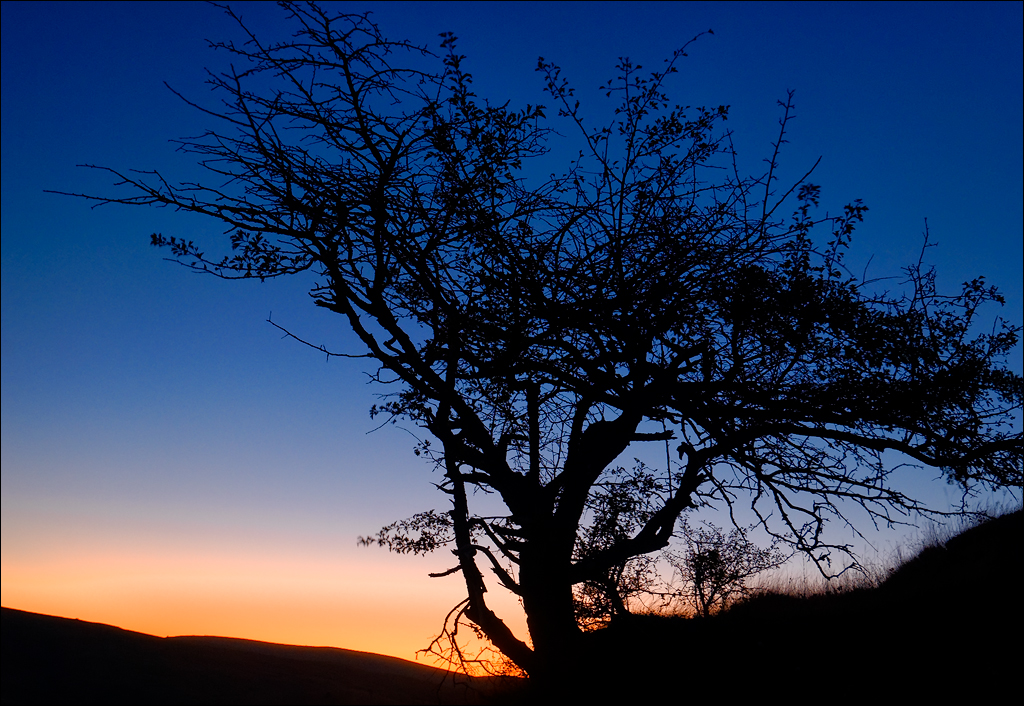 Crimea 201220170305404