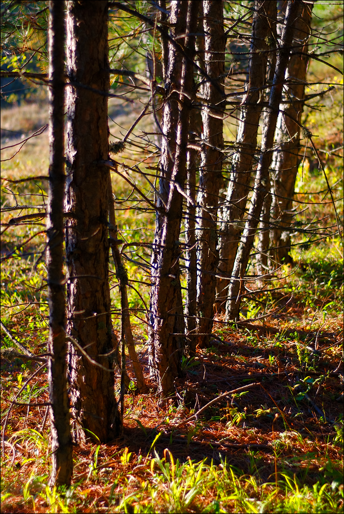 Crimea 201220170305410