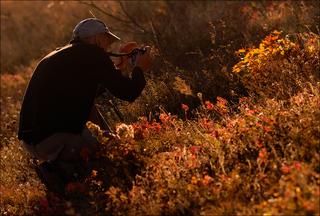 Crimea 201220170305428