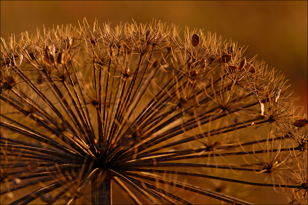 Crimea 201220170305429