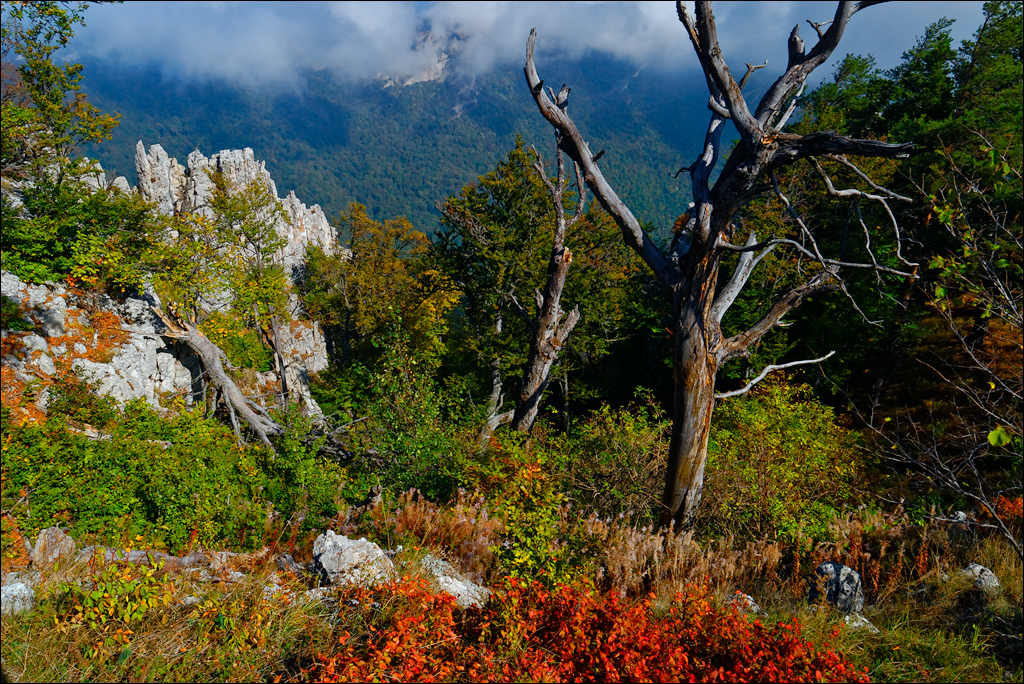Crimea 201220170305445