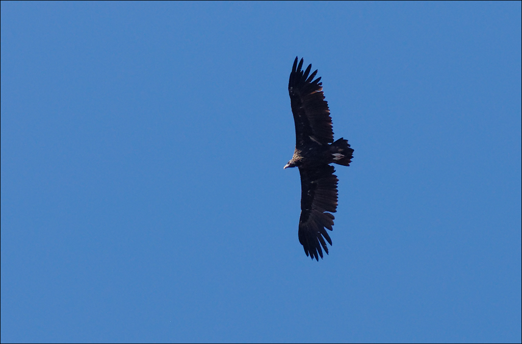 Crimea 201220170305455