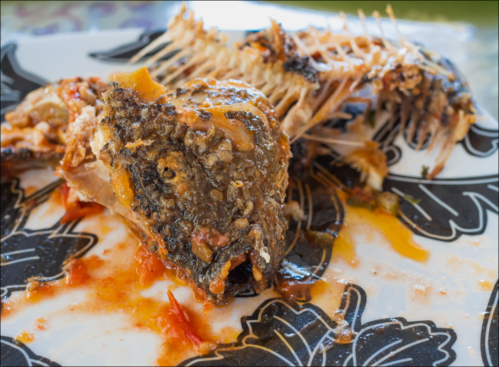 Zambia sep2014 P1 111