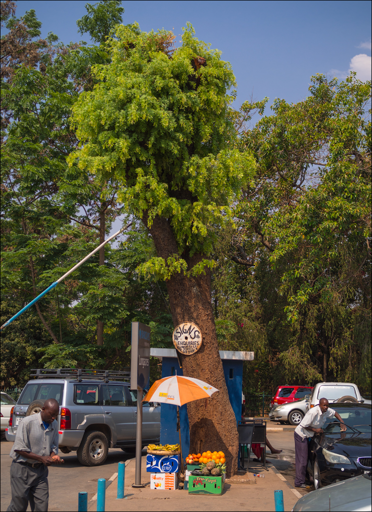 Zambia sep2014 P1 134