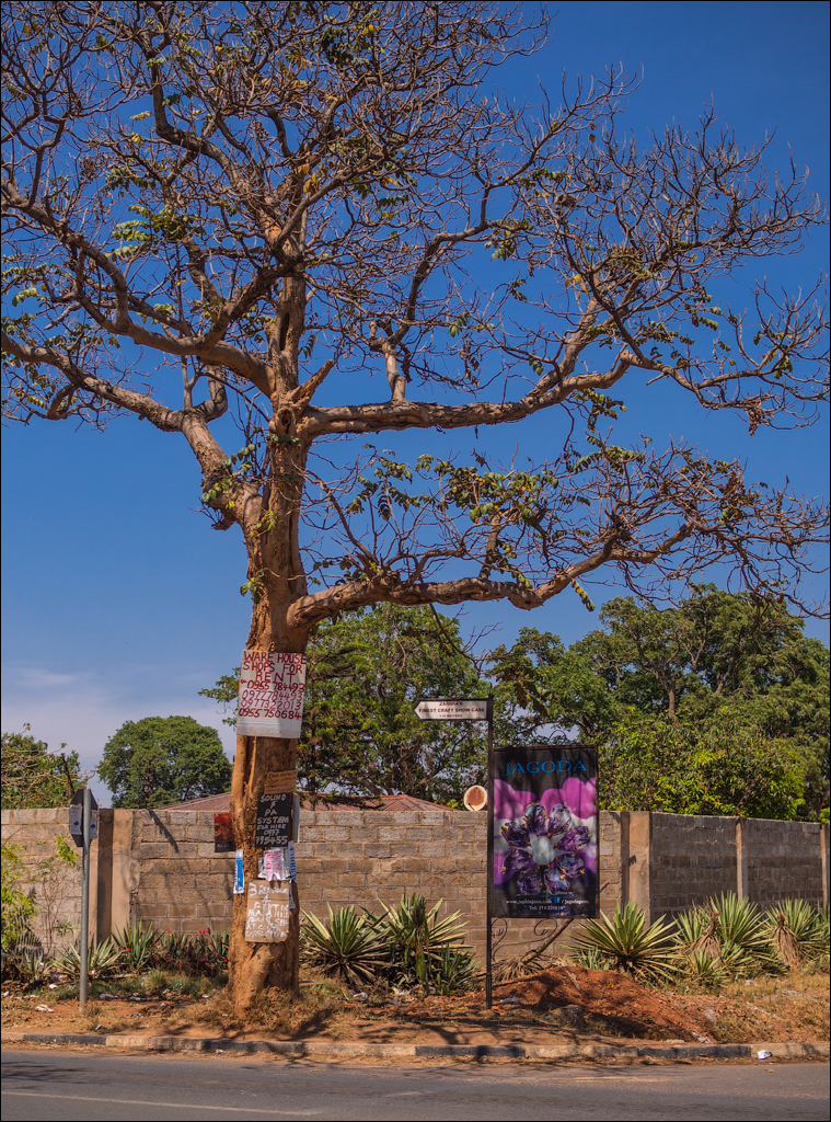 Zambia sep2014 P2 004