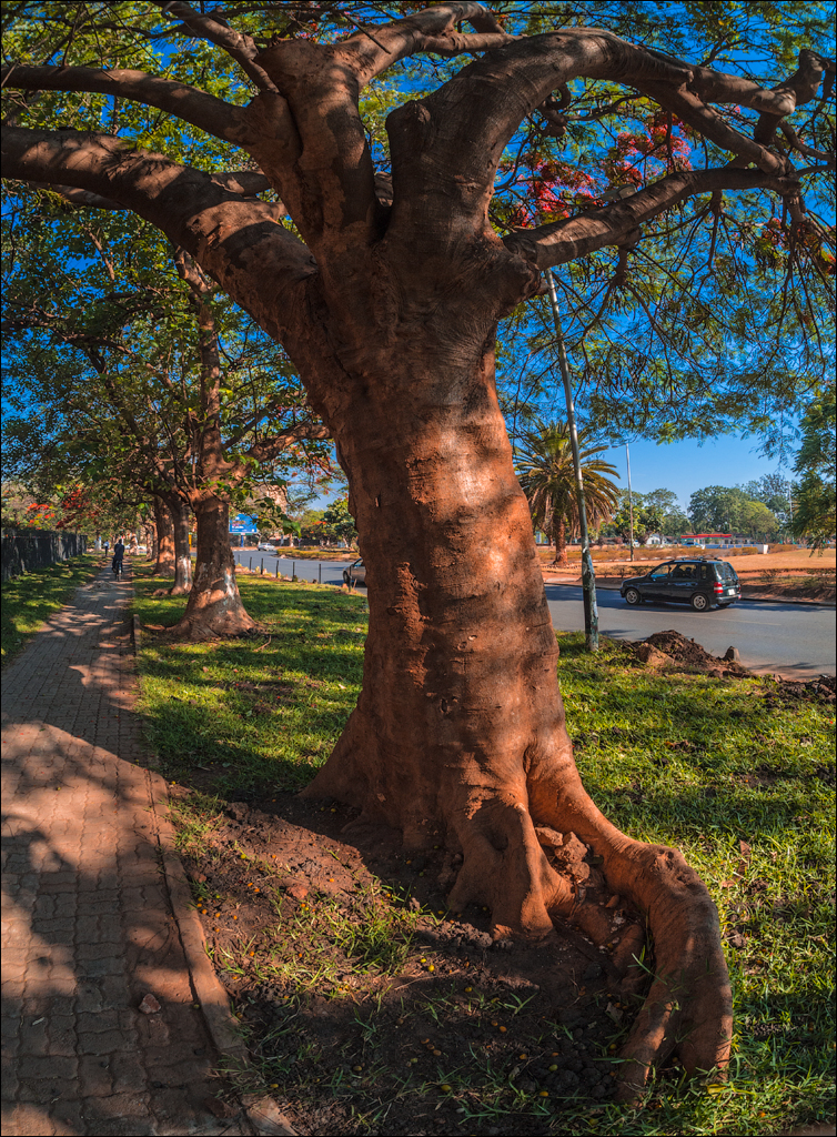Zambia sep2014 P2 150
